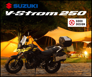Vストローム250