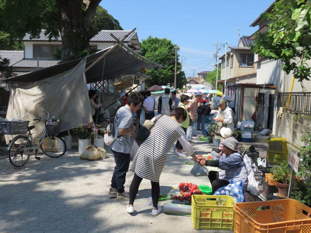 ＪＡＦ×勝浦市　スタンプラリー開催！